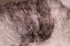 Semo Husky 71cm Plüschtier