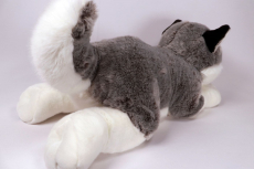 Dubi Husky Arbadera 62cm Plüschtier