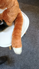 Semo Fuchs Jumbo 71cm Plüschtier