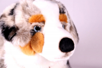 Rappa Australian Shepherd 60cm/24“ stuffed animal