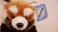 Semo Teenies Roter Panda 23cm Plüschtier