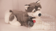 Trudi Husky Marcus 80cm Plüschtier
