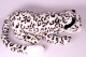 Anima Schneeleopard 60cm Plüschtier