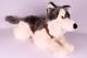 Rappa Husky 60cm Plüschtier