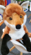 Semo Fuchs Jumbo 71cm Plüschtier