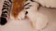 Uni-Toys Tiger braun 66cm Plüschtier