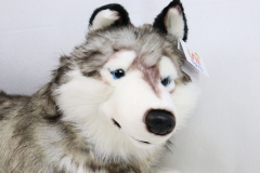 Uni-Toys Husky 71cm Plüschtier