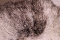Semo Husky 71cm Plüschtier