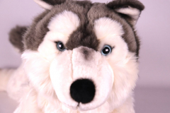 Rappa Husky 60cm Plüschtier
